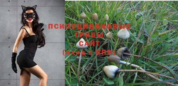 герыч Абаза