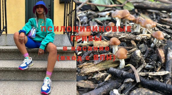 дмт Медвежьегорск