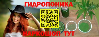 стаф Лесосибирск