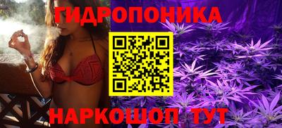 стаф Лесосибирск